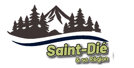 saint-die.vosges88.fr